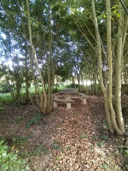 Hébergement AbracadaRoom : Le Dôme de Draëck & Sauna privatif - Image 15