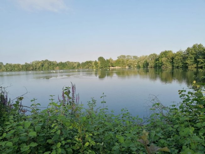 Domaine AbracadaRoom : Le Laurier Blanc - Image 2