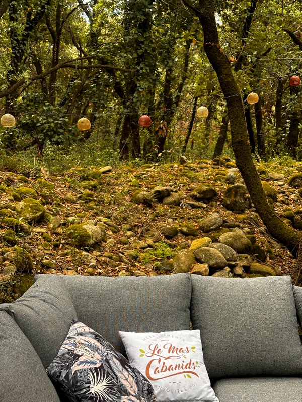 Le Diamant à Maureillas-Las-Illas (20)