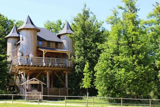 Château dans les branches