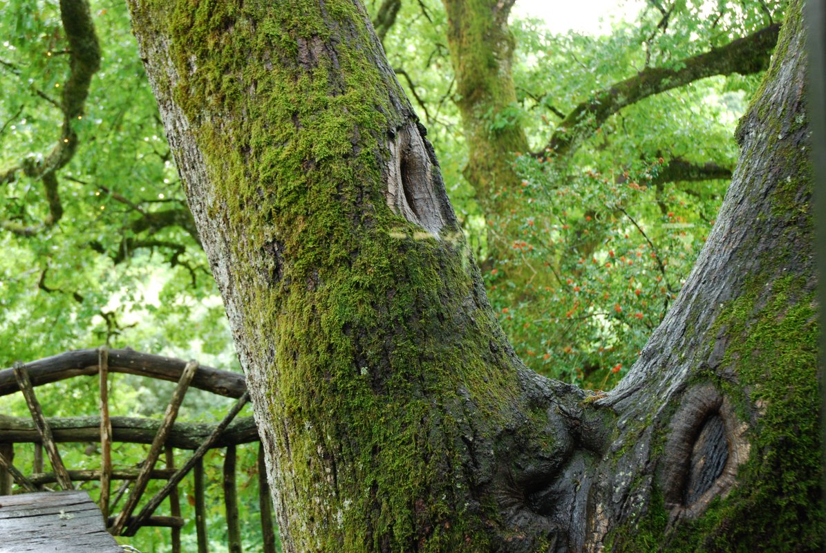 La cabane Margo à Sexcles (11)