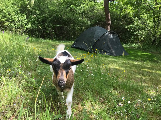 Hébergement AbracadaRoom : Le Do' dôme - Image 14
