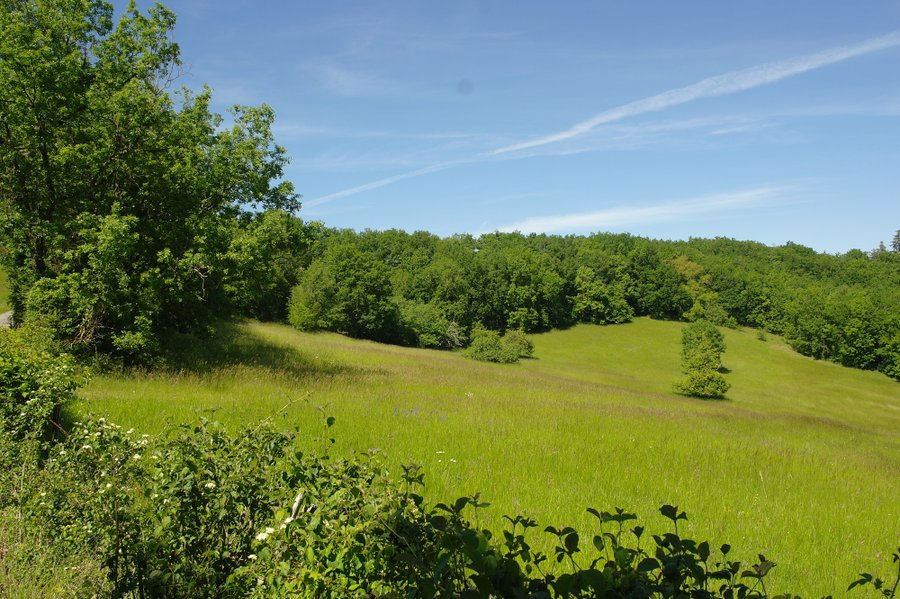 Domaine AbracadaRoom : Le Cri de la Yourte - Image 2