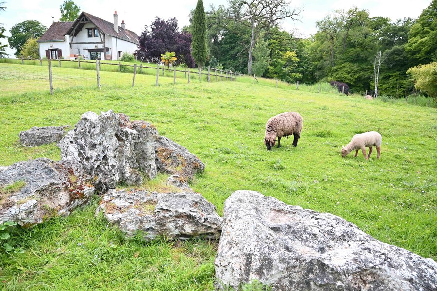 Domaine AbracadaRoom : Domaine de la Roche Bellin - Image 7