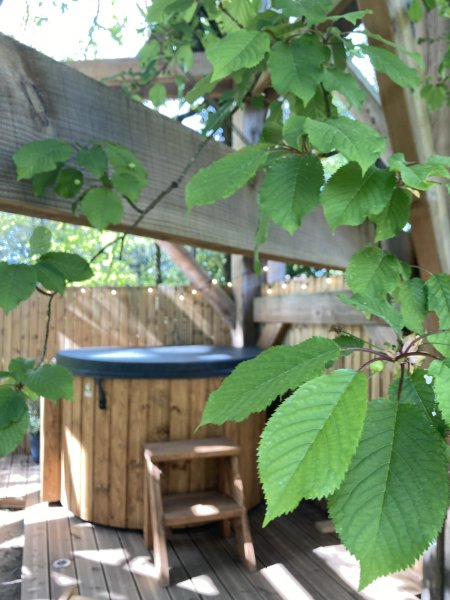 Hébergement AbracadaRoom : La Cabane du Verger - Image 6