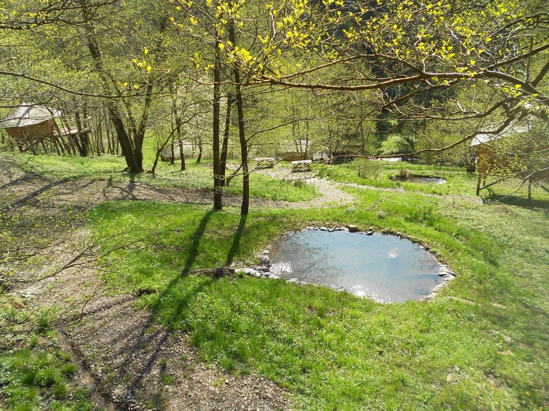 Domaine AbracadaRoom : Les Cabanes du Goutty - Image 2