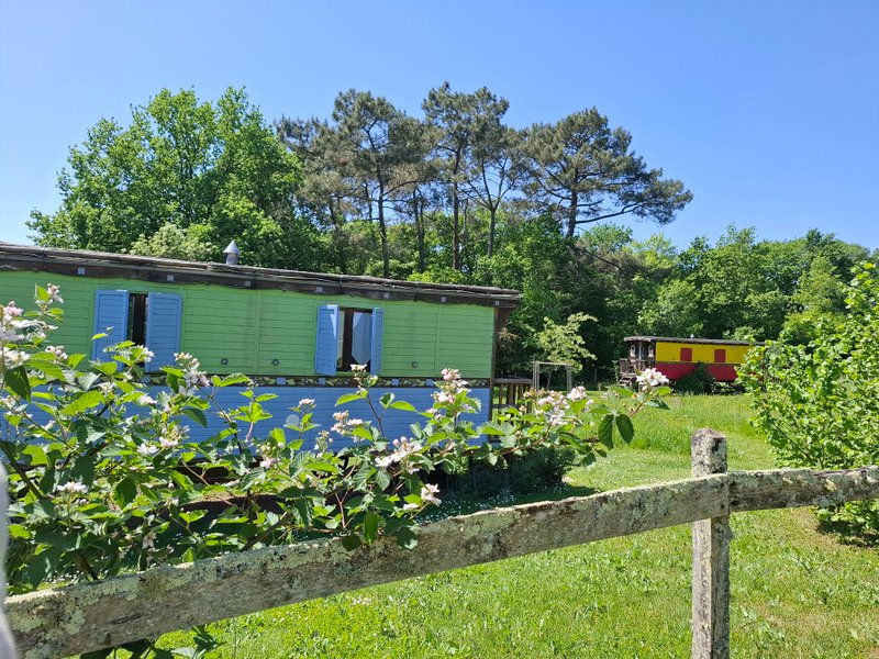 Domaine AbracadaRoom : Les Gravets – Maison d’hôtes & Roulottes en Sud-Gironde - Image 1