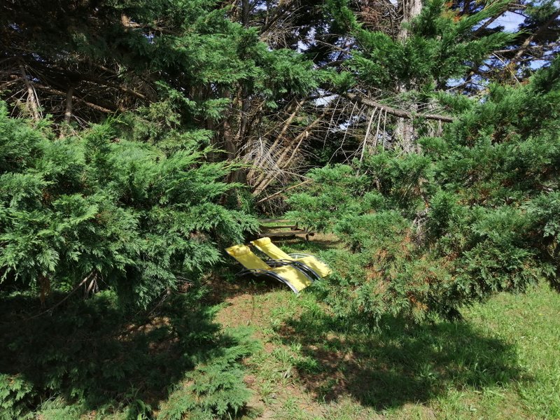 Hébergement AbracadaRoom : Kota - A l'abri des cyprès - Image 11