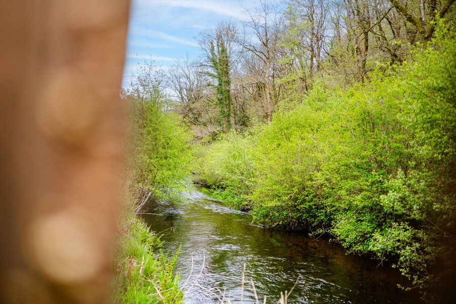 Hébergement AbracadaRoom : Cabane du Korrigan - Image 5
