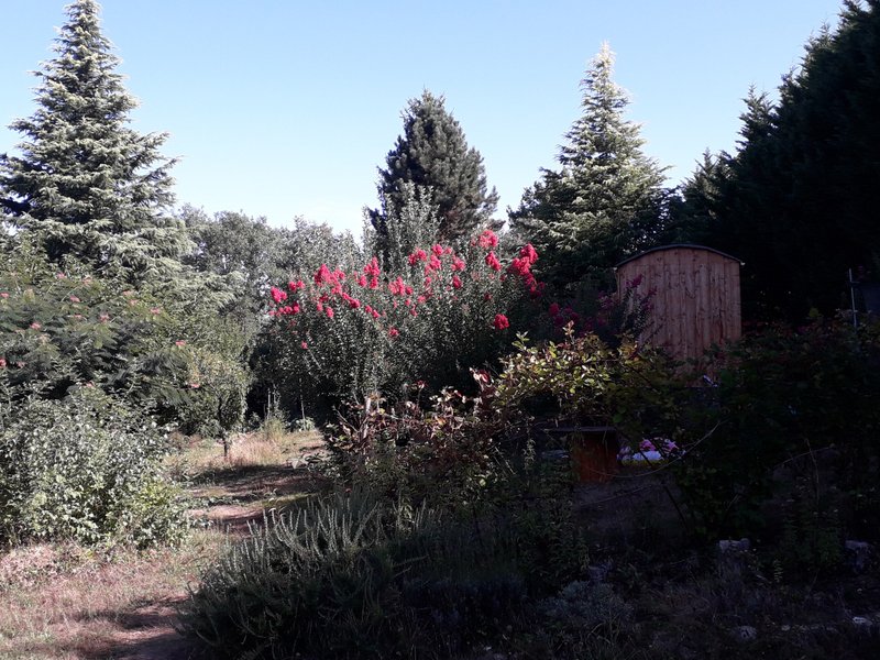 Hébergement AbracadaRoom : La roulotte de Naturospirit - Image 10