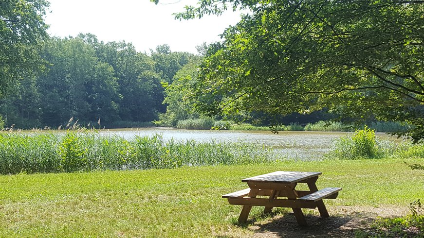 Hébergement AbracadaRoom : Bulle Fouletot - Image 2