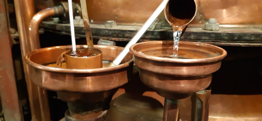 Hébergement AbracadaRoom : Roulotte l'âne au salon en Armagnac & Spa - Image 10