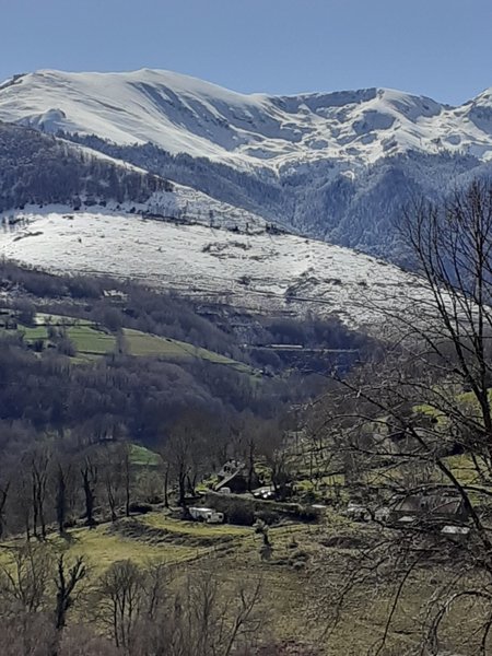 Hébergement AbracadaRoom : La Roulotte qui chuchote &spa - Image 14