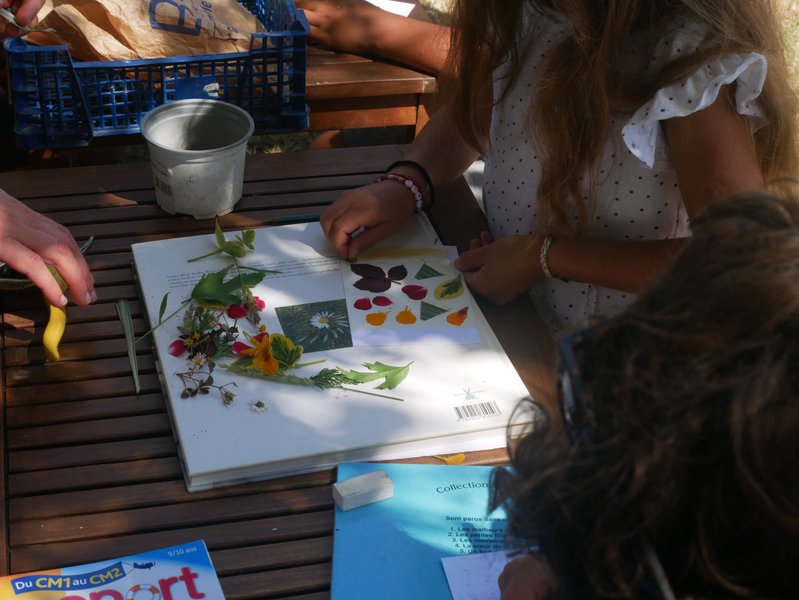 Domaine AbracadaRoom : Seasonova Les Mouettes - Image 14