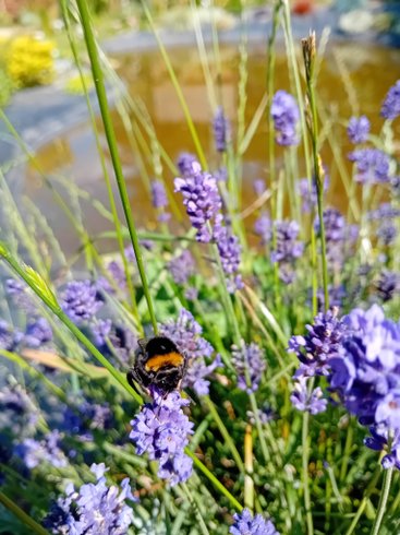 Hébergement AbracadaRoom : Lin pour l'autre & Spa - Image 13