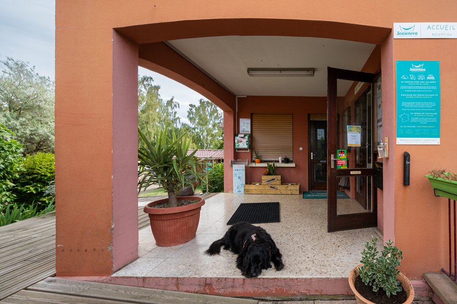 Domaine AbracadaRoom : Seasonova Camping les Portes d'Alsace - Image 62