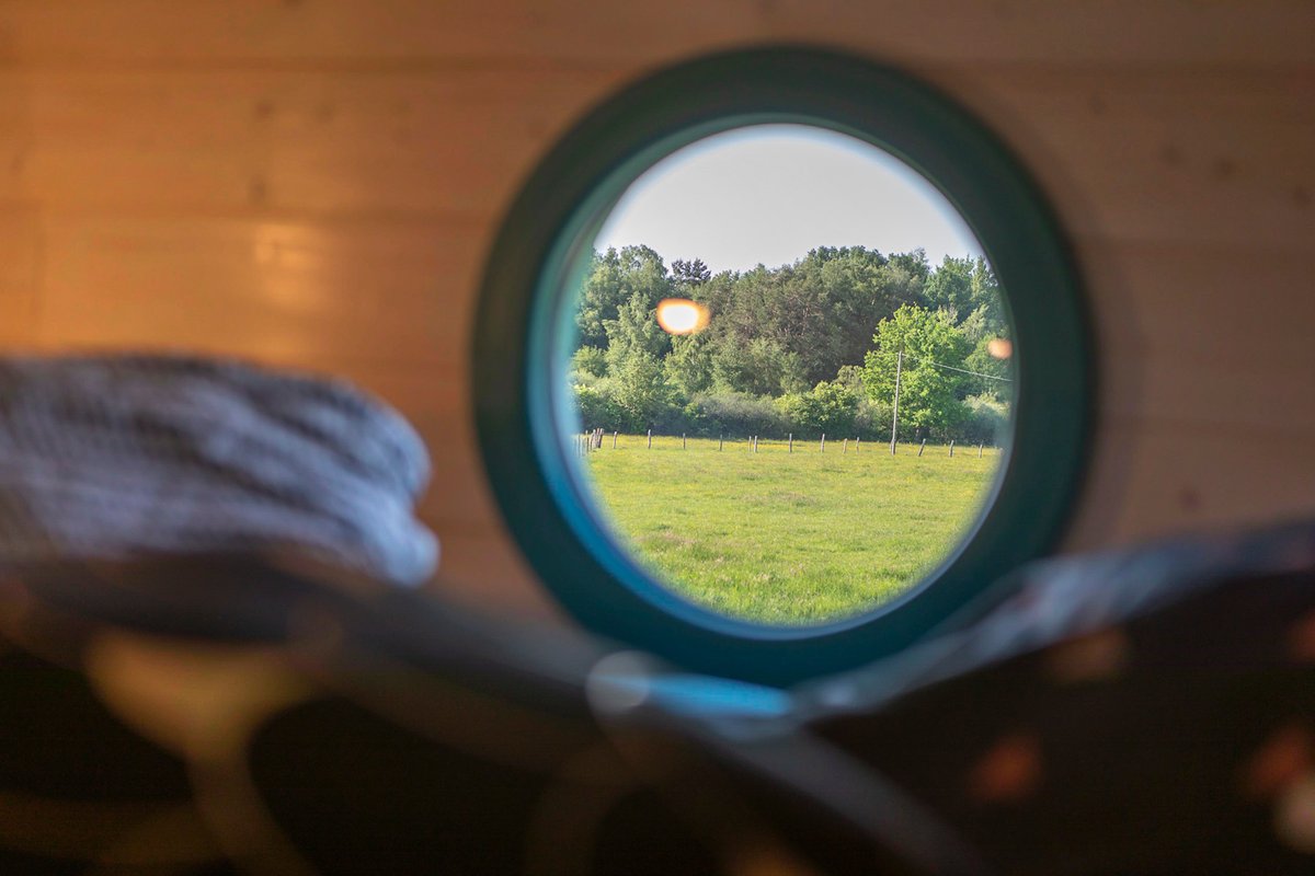 Tiny House  Ô P'tit Nid Milie  & son sauna : Classée 1 étoile à Bellefontaine (19)