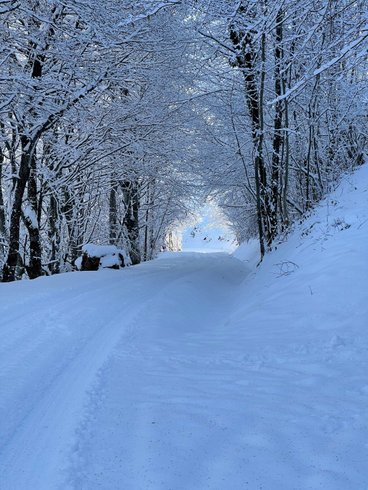 Hébergement AbracadaRoom : La Casitanatur - Image 29
