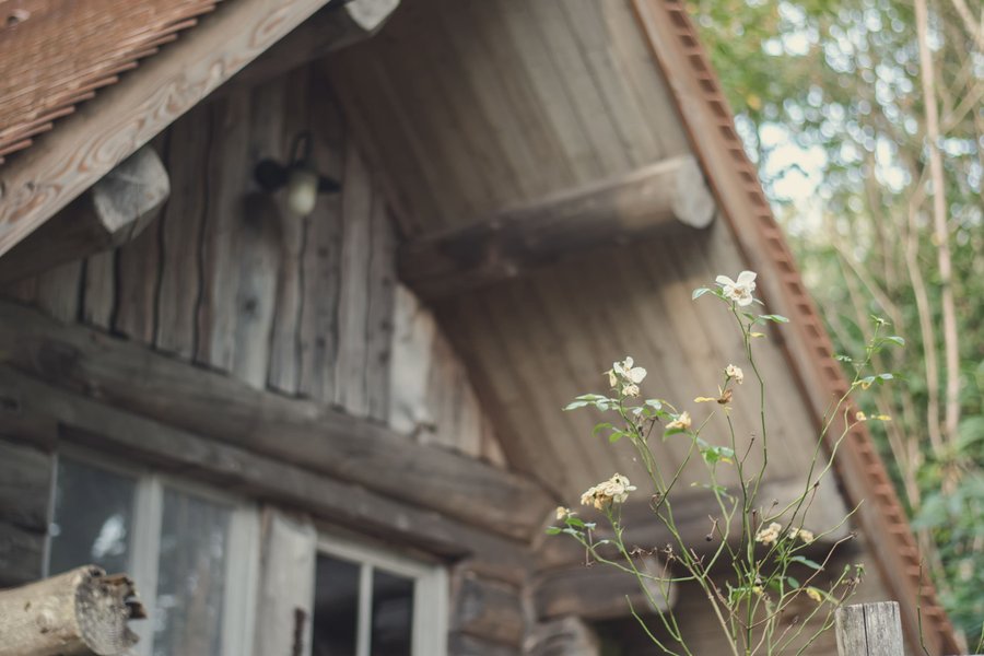 Chalet en rondins — photo 2