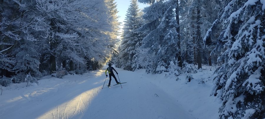 Hébergement AbracadaRoom : La Bulle de Pierre avec Spa privatif - Ecolodge au milieu des volcans - Image 17