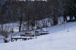 Le Dôme étoilé & SPA