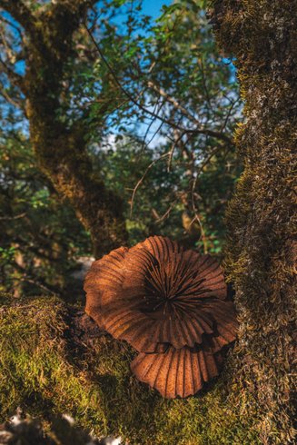 Hébergement AbracadaRoom : L'Idylle du Causse & Spa - Image 20