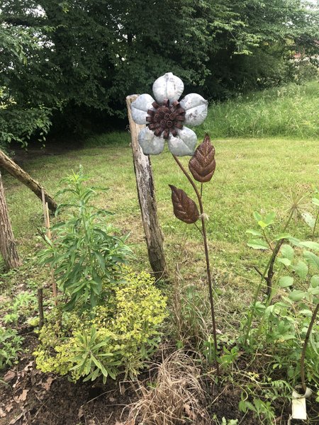 Hébergement AbracadaRoom : Le P'tiot Utau - Image 29