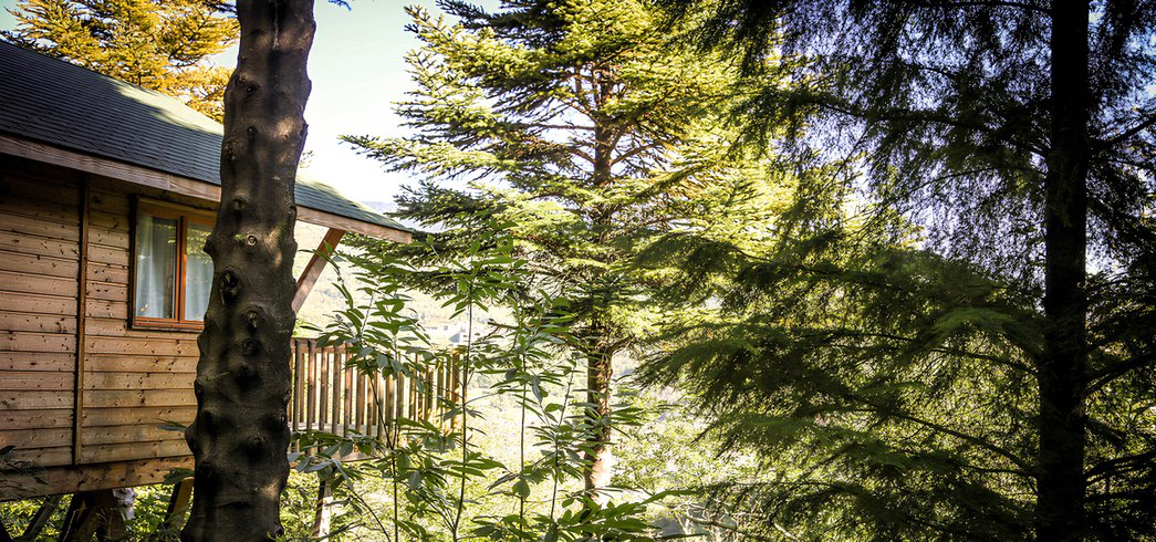 Domaine AbracadaRoom : Domaine Oz'Arbres - Image 4