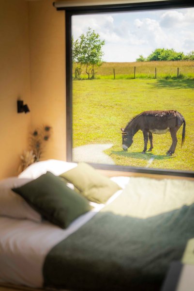 Hébergement AbracadaRoom : Parcel Tiny House - près des animaux dans le Jura - Image 3