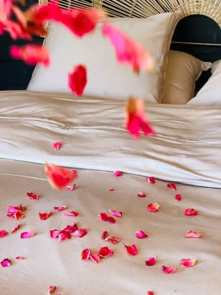 Hébergement AbracadaRoom : La Cabane Feu de Forêt & spa privatif - Image 9