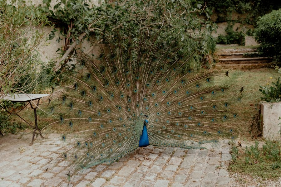 Domaine AbracadaRoom : Domaine de Neuville - Cabanes sur l'eau d'exception - Image 18