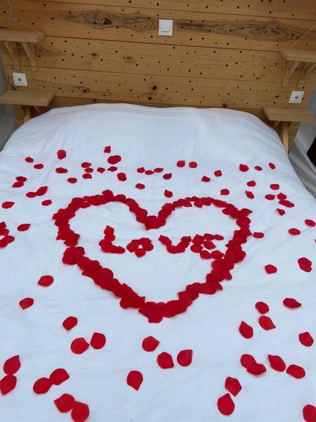 Hébergement AbracadaRoom : La bulle - Image 13