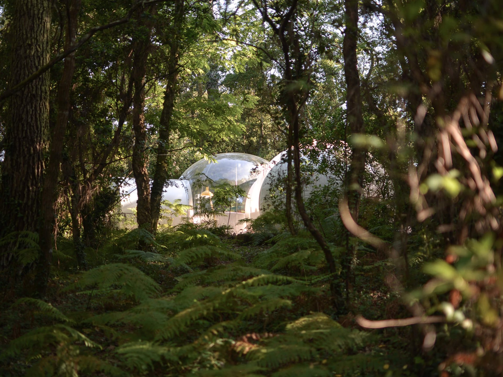 Bulle Blanche d'Hossegor & Spa