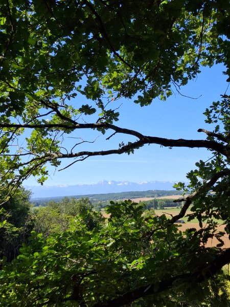 Domaine AbracadaRoom : Les Cabanes Nid'Amour - Image 2