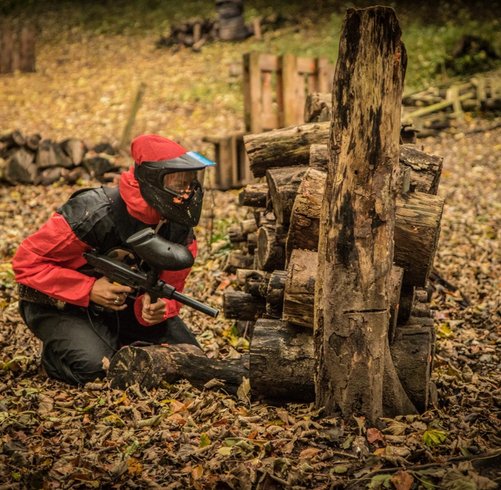 Domaine AbracadaRoom : Woody  Park - Image 6