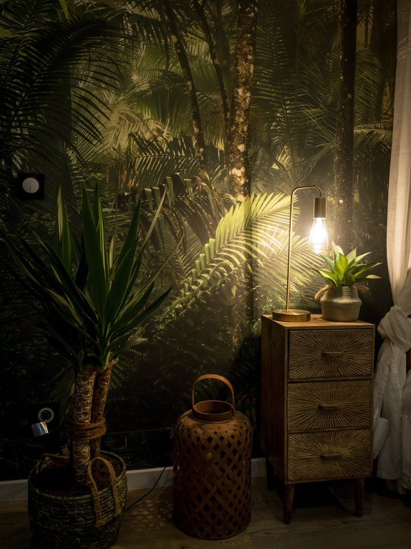 Évasion romantique au coeur de l'Amazonie, SPA, CINÉMA PRIVÉ, 5 min centre à Evreux (28)