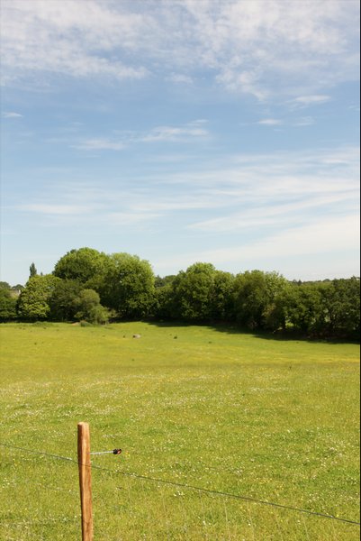 Domaine AbracadaRoom : Les Jardins de Coët-Kra - Image 4