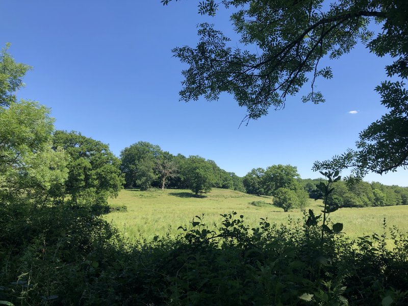 Hébergement AbracadaRoom : Tipi Söra du Wakanda Lodges - Image 7