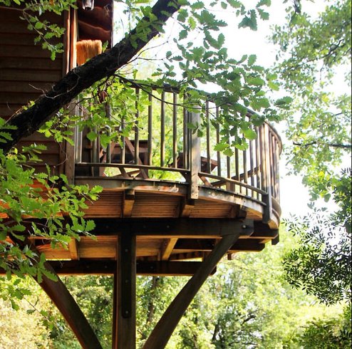 Hébergement AbracadaRoom : Bagheera - Image 3