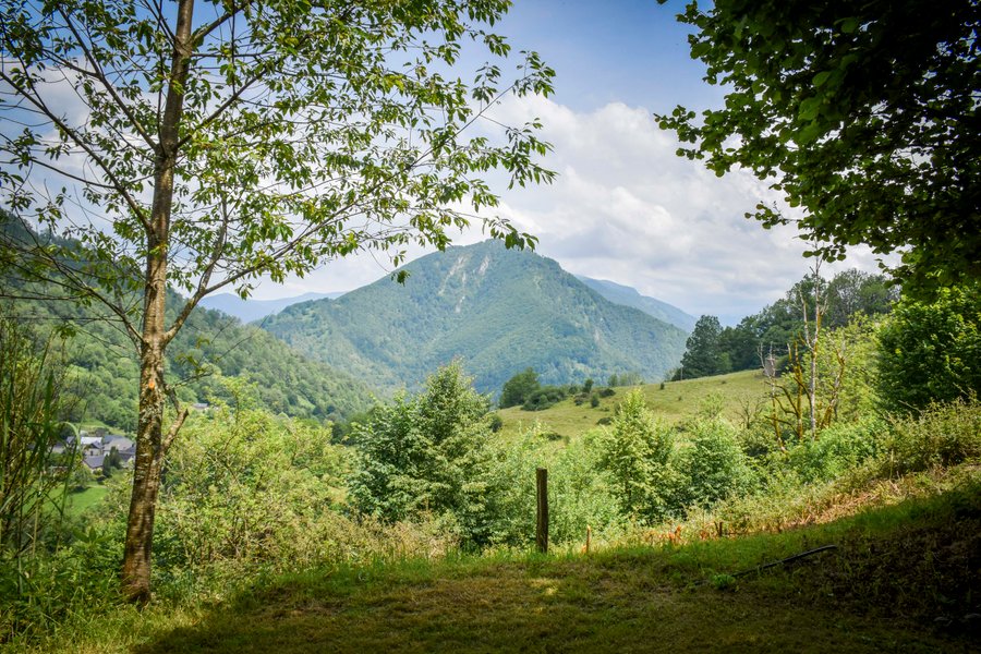 Hébergement AbracadaRoom : La Casa de Lili - Image 24