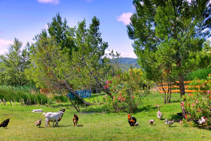 Domaine AbracadaRoom : Domaine La Peiriere - Image 5