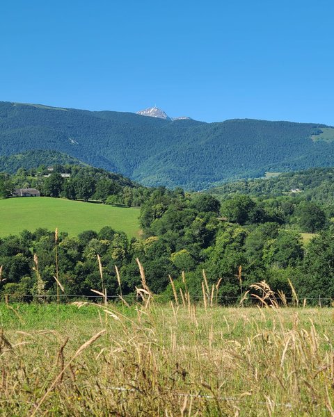 Domaine AbracadaRoom : Yourte Pyrénées - Image 1