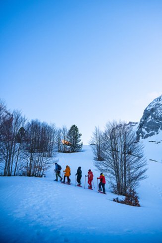 Domaine AbracadaRoom : L' Aventure Nordique - Station de ski de Gourette - Image 32
