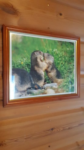 Hébergement AbracadaRoom : Le chalet des marmottes - Image 12