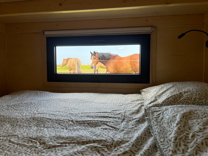 Hébergement AbracadaRoom : Tiny House La Cavalerie - Image 7