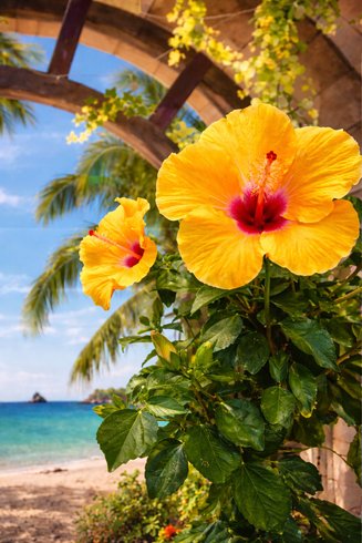 Domaine AbracadaRoom : L'Arche Enchantée - Image 12