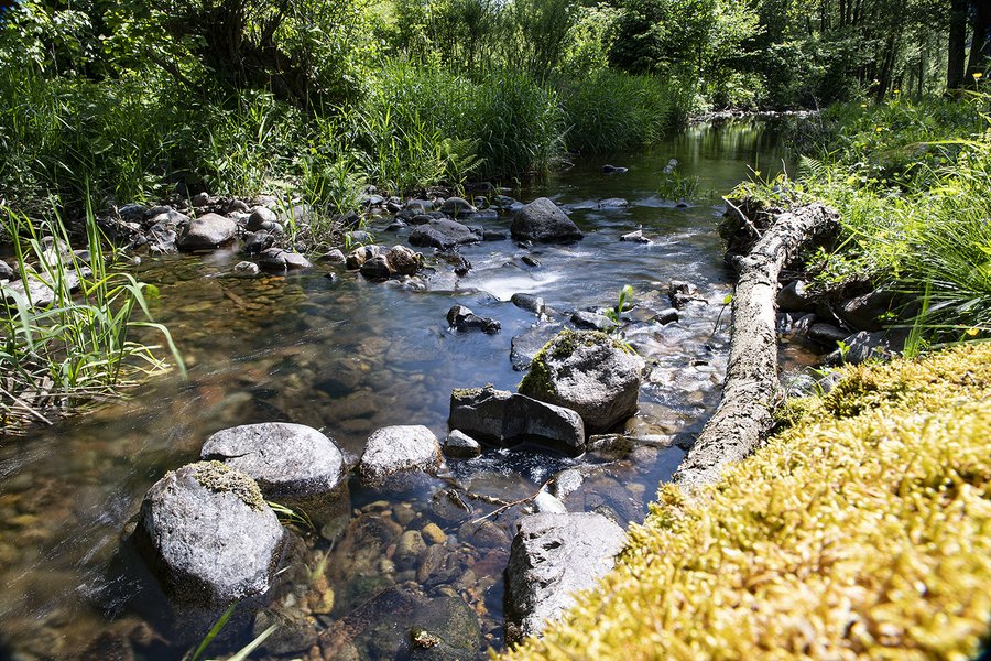 Hébergement AbracadaRoom : La Cabane du Pêcheur & Spa - Image 23