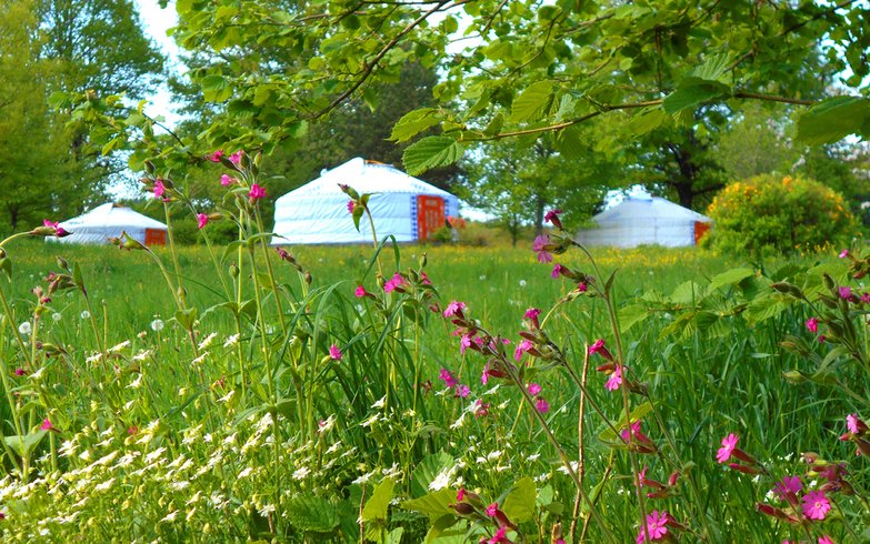 Domaine AbracadaRoom : Les Ânes de Vassivière - Image 7