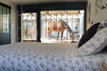 [1]  Suite 5 personnes avec accès direct aux chevaux à Fraisnes-En-Saintois (4)