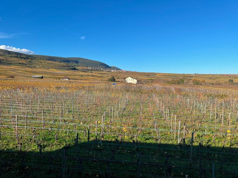 Hébergement AbracadaRoom : L'Inattendue - Image 22